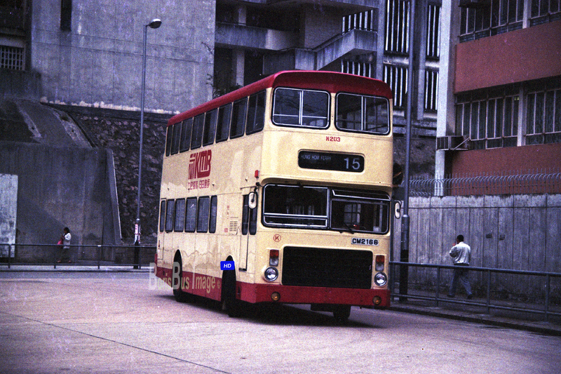 #N203 #CM2166 #Dennis #Jubilant #藍田