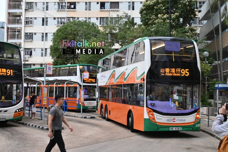 95 d  (3).jpeg