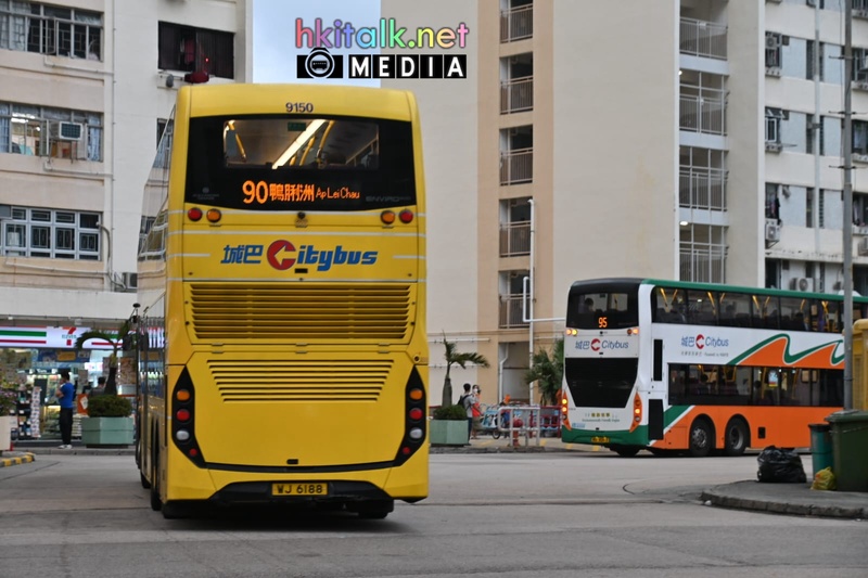 95 d (1).jpeg