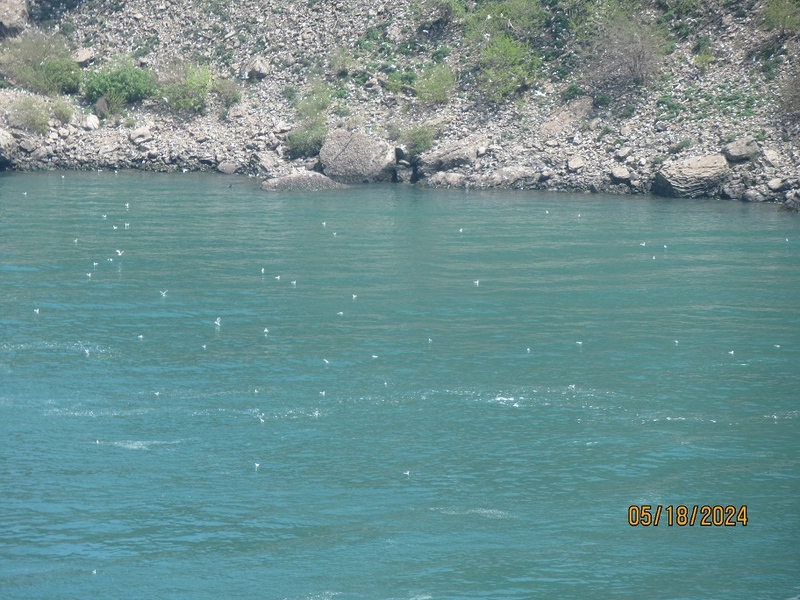 IMG_9120.JPG