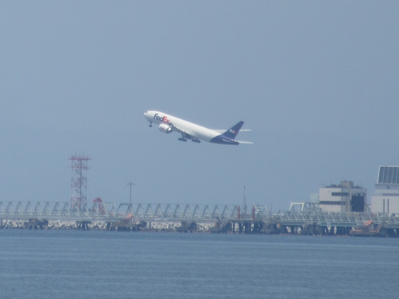 20240526_115350_IMG_7343c.JPG