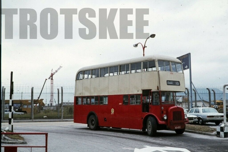k_d261_2.jpg