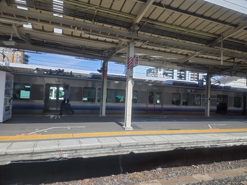 20240525_145246.jpg
