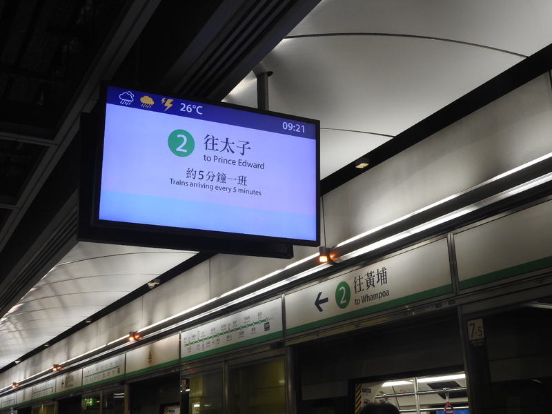 DSCN1411.JPG