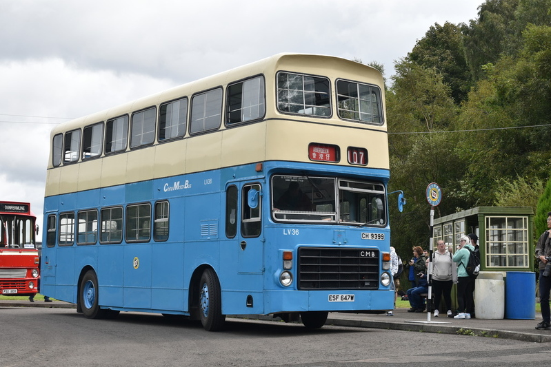 DSC_7534 (1).jpg