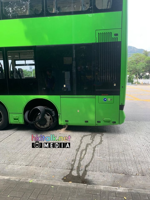 ZD9768 (4).jpg