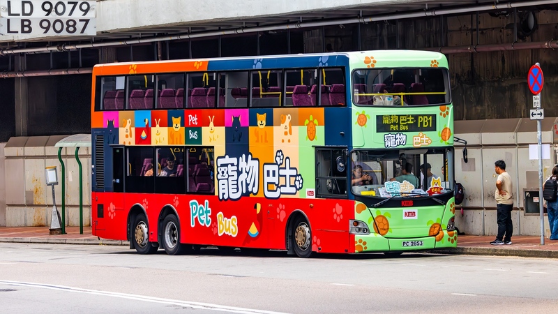 2U3A2240-已增強-雜訊減少.JPG