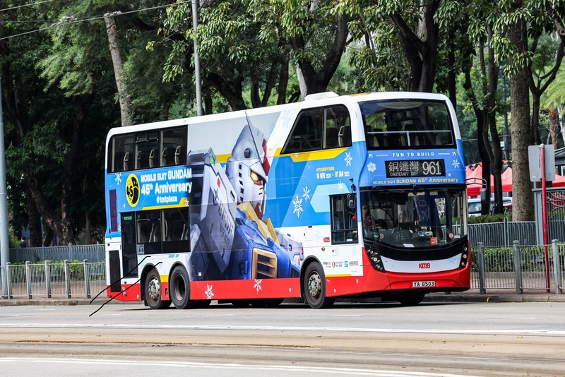 YA8503.jpg