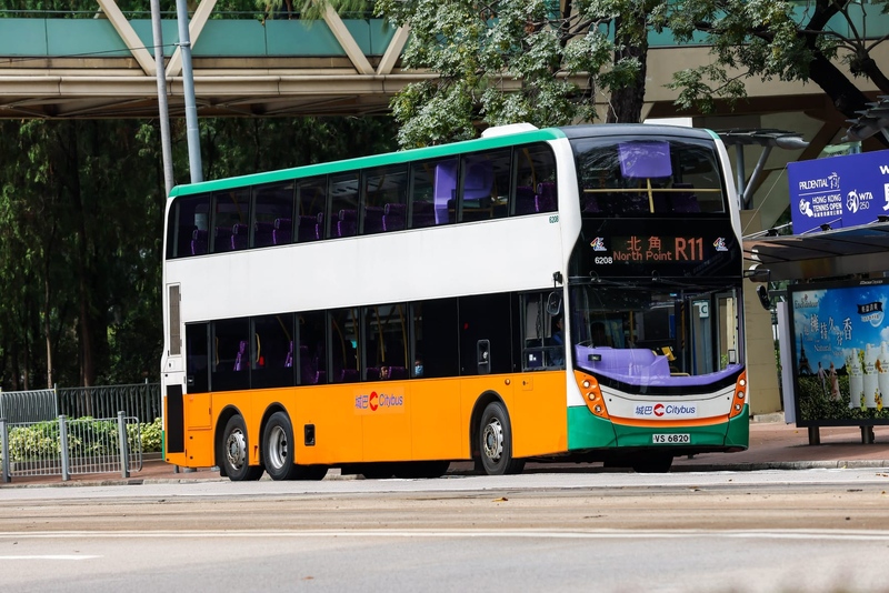 6208.jpg