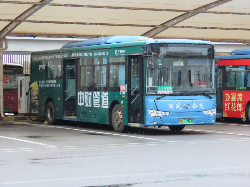 IMG_3346.JPG