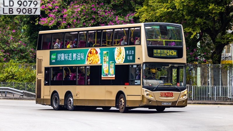 2U3A1381-已增強-雜訊減少.JPG