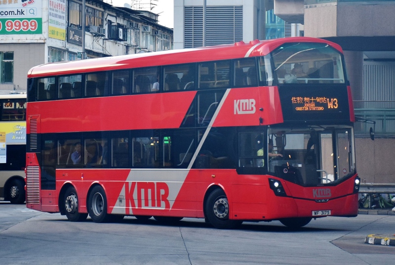 WF3175@L-W3.jpg