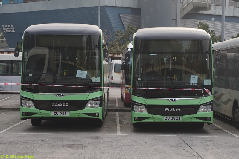 nlb-rr8-gi.JPG