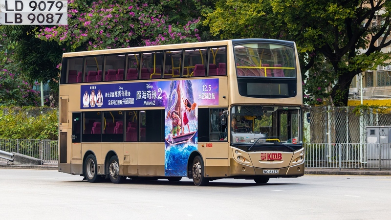 2U3A1281-已增強-雜訊減少-1.JPG