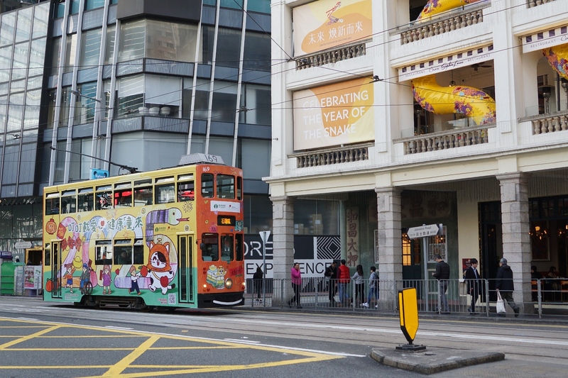 tram169_2025.jpg