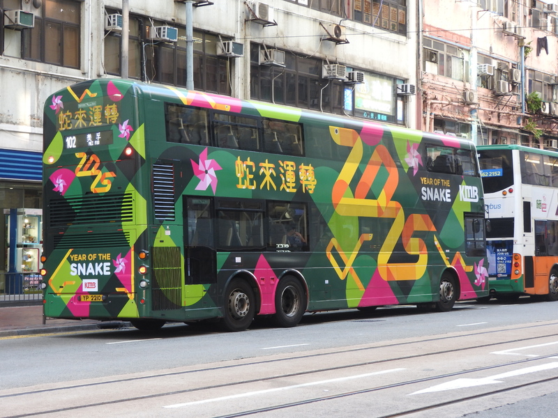 DSCN7810.JPG