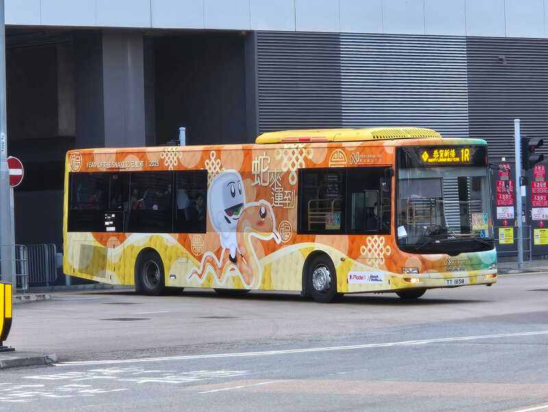 1000045952.jpg