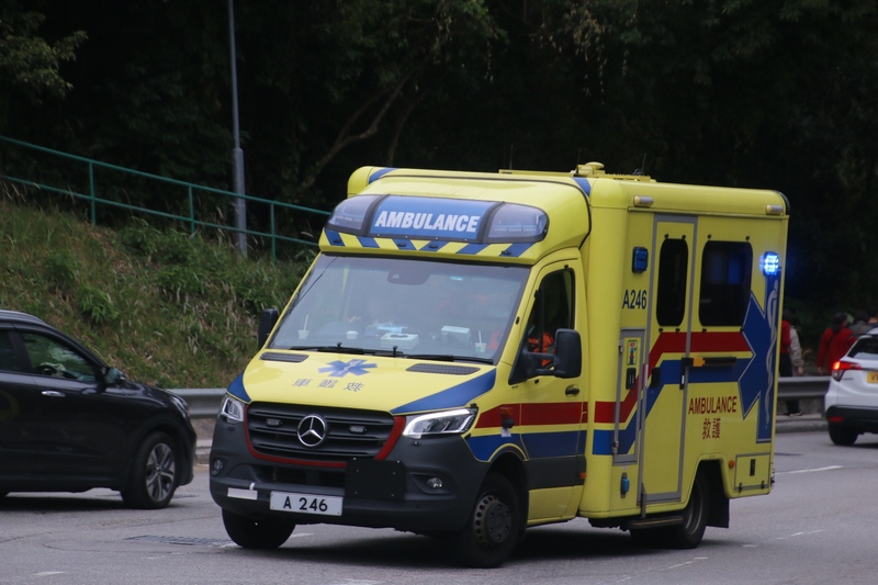 A246.jpg
