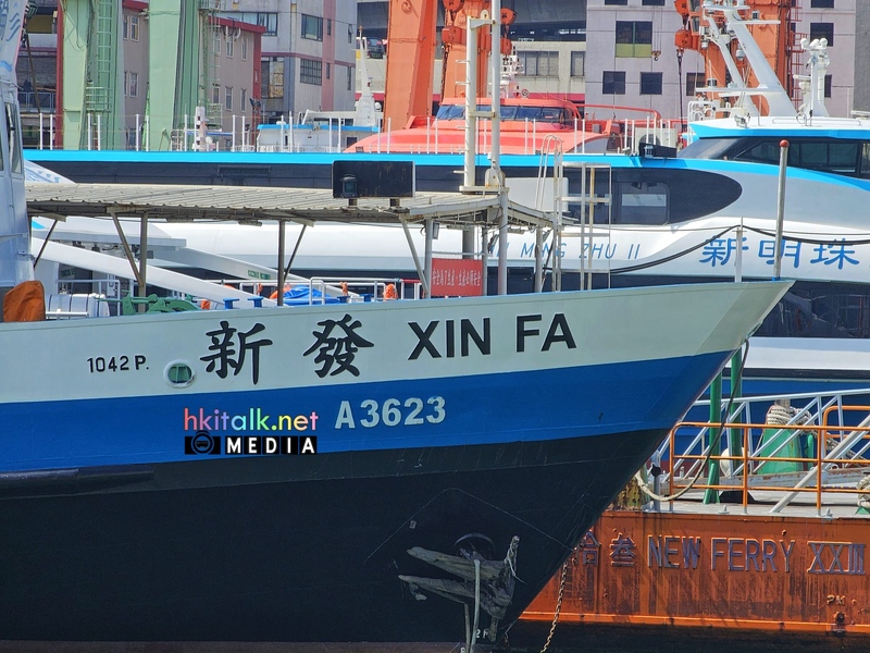XIN FA (2).jpeg
