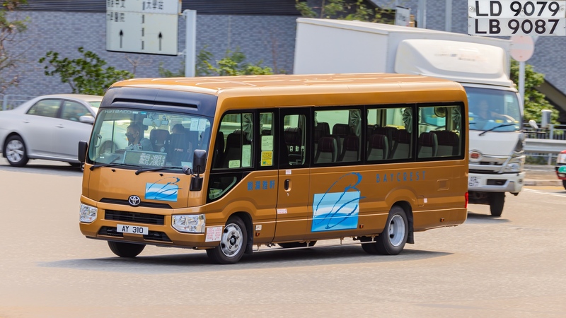2U3A0078-已增強-雜訊減少.JPG