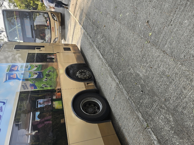 1000253439.jpg