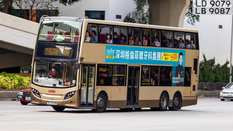 20250323-2U3A2696-已增強-雜訊減少.JPG