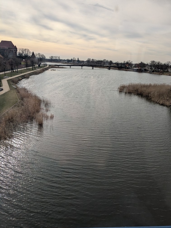 PXL_20250305_123544739.jpg
