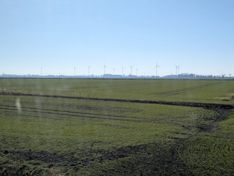 PXL_20250306_091617809.jpg