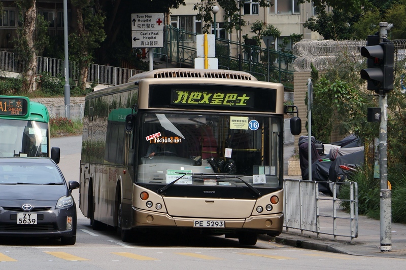 PE5293.JPG