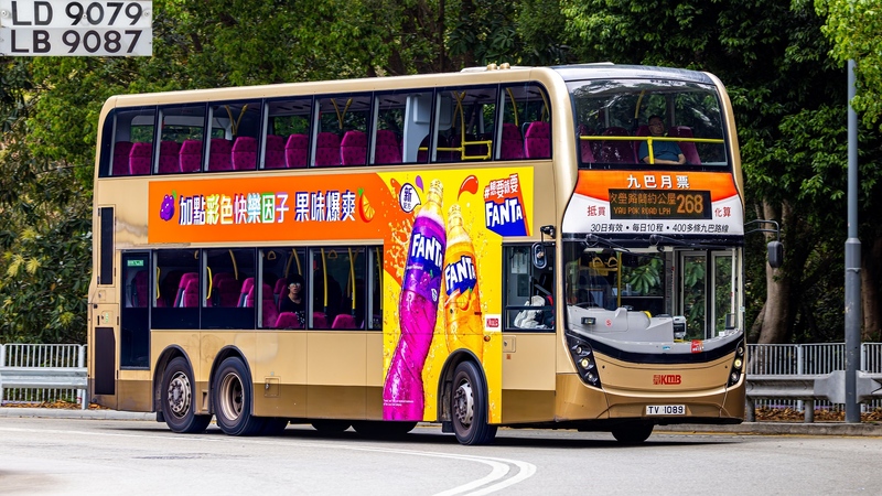 2U3A1311-已增強-雜訊減少.JPG
