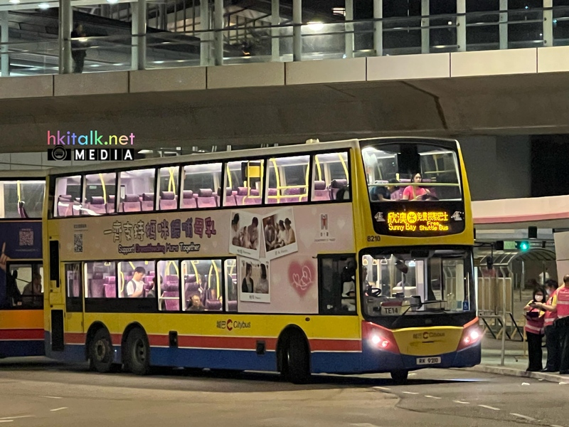 TE14 (7).jpeg