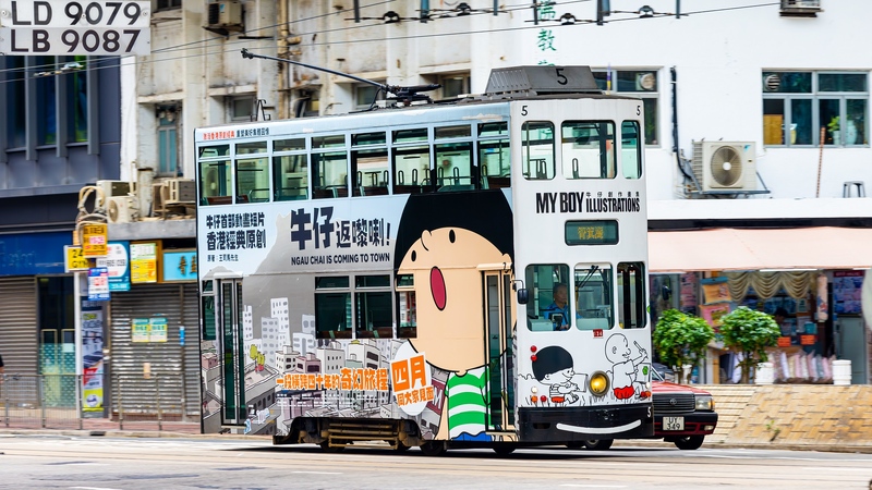 2U3A5322-已增強-雜訊減少.JPG