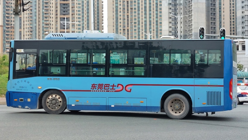 20250505_102911.jpg