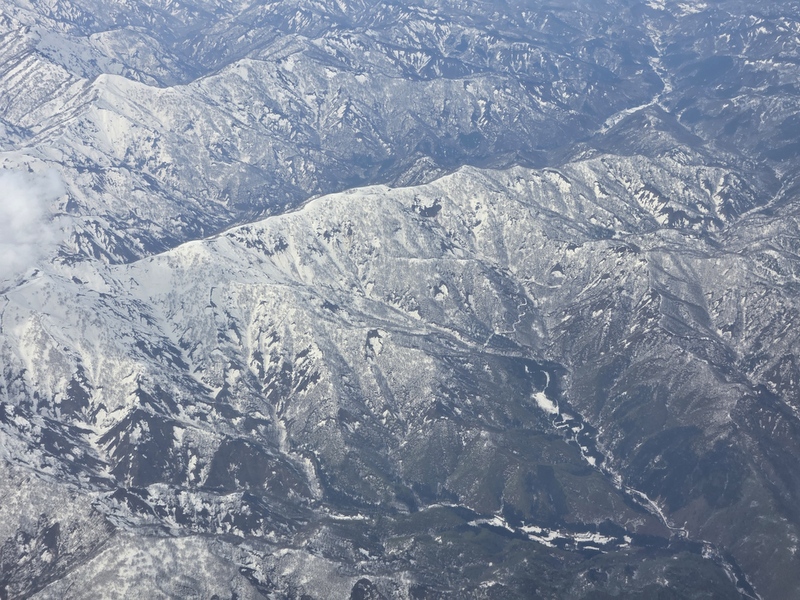 20250425_135212.jpg