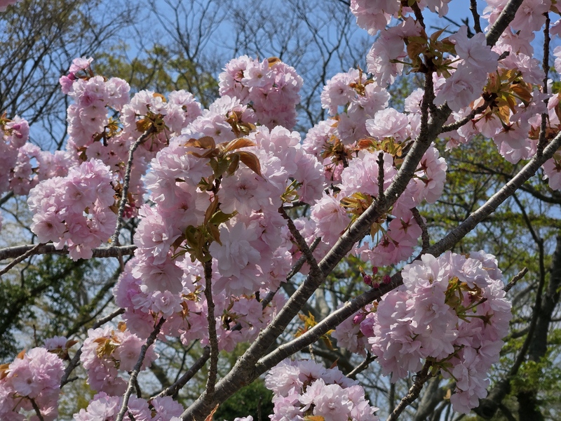 20250426_105625.jpg