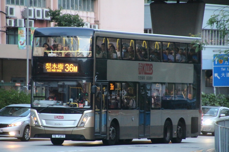 36M.jpg