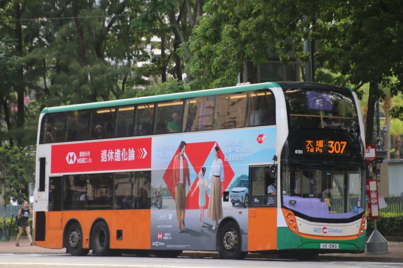 307.jpg