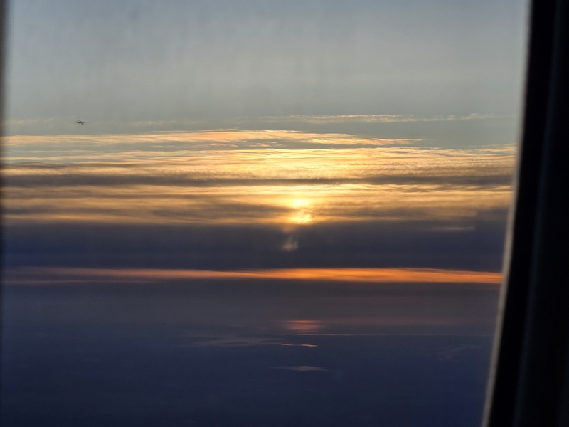 20250417_061952.jpg