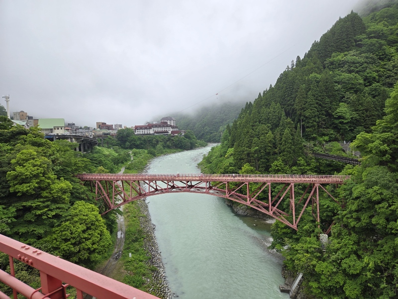 20250522_114110.jpg