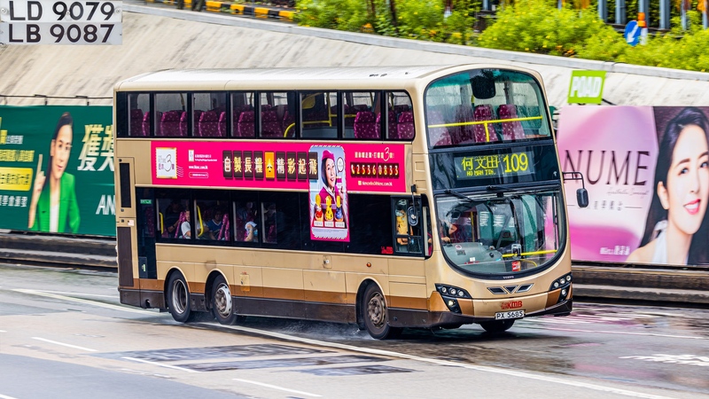 2U3A4095-已增強-雜訊減少.JPG