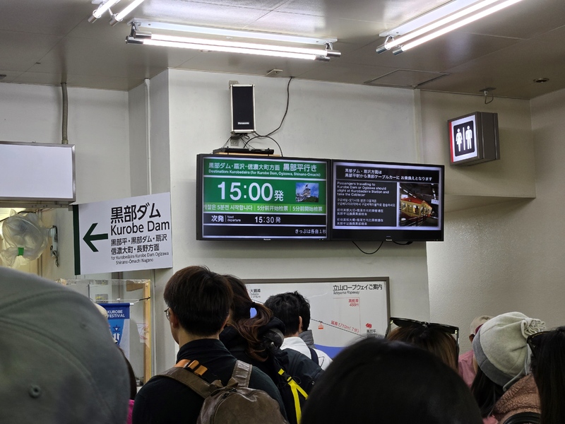 20250523_145510.jpg