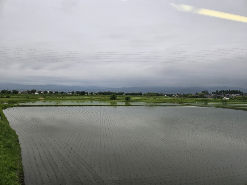 20250523_183001.jpg