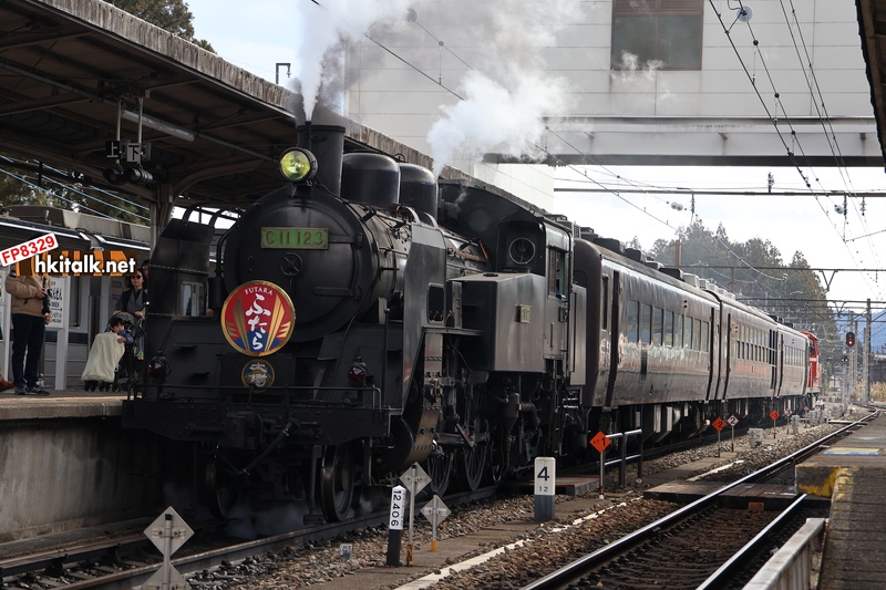 SL大樹 (1).JPG