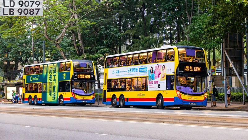6490@619X 6338@619.JPG