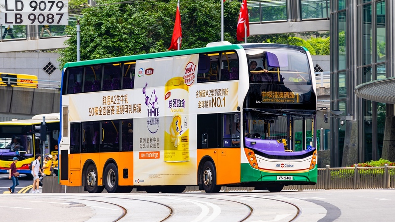 20250728-2U3A0022-已增強-雜訊減少.JPG