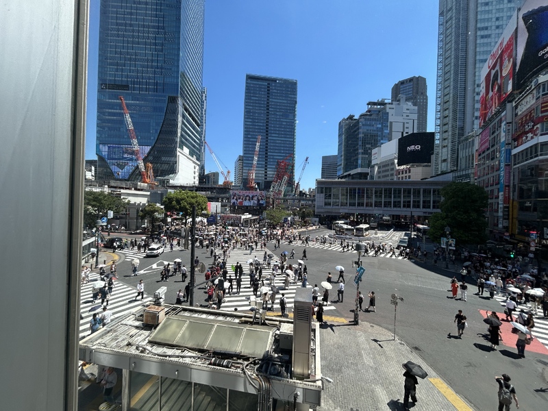 IMG_4010.jpeg