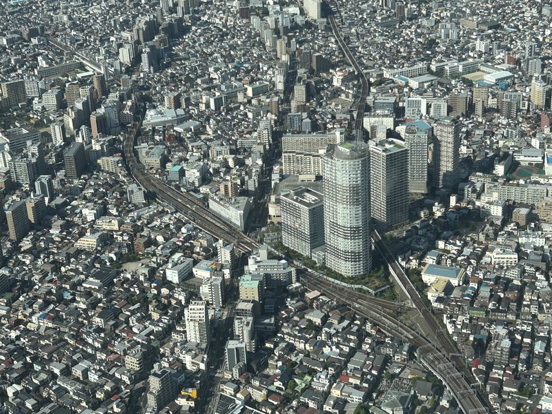 IMG_4153.jpeg