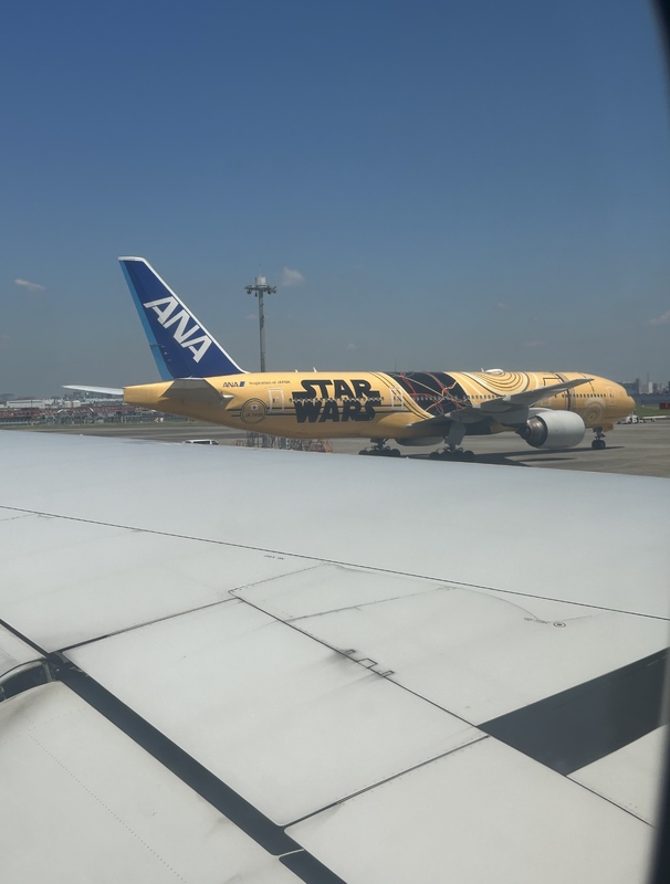 IMG_4209.jpeg