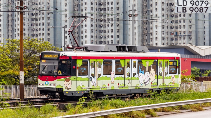 20250802-2U3A2621-已增強-雜訊減少.JPG