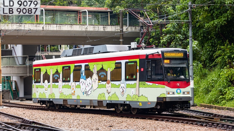 20250802-2U3A2801-已增強-雜訊減少.JPG